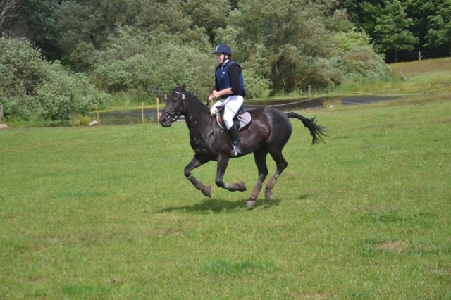 reitertag 2013 202